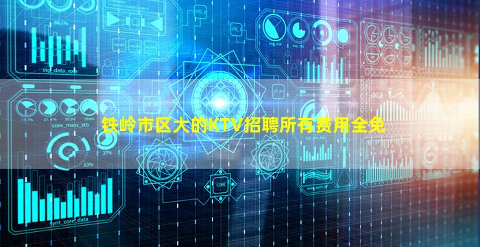 铁岭市区大的KTV招聘所有费用全免
